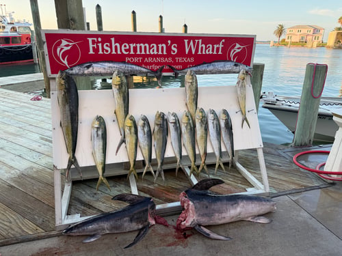Winter Wahoo Full Day 