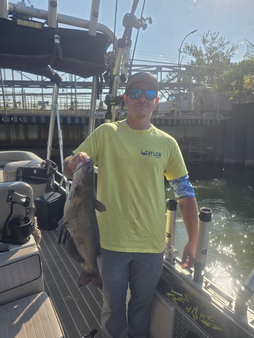 CATFISH FISHING ADVENTURES