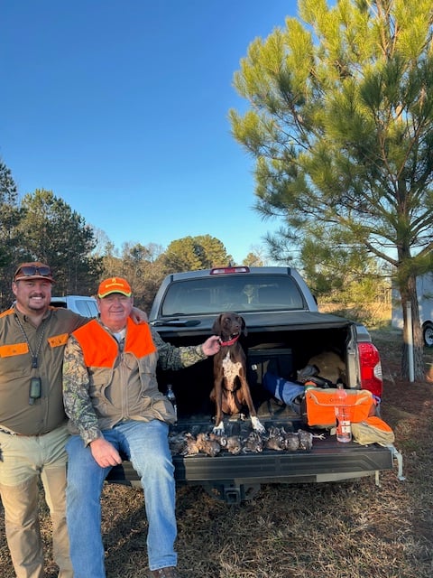Central Texas Quail Hunt 