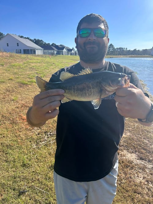 Bass Fishing Trip