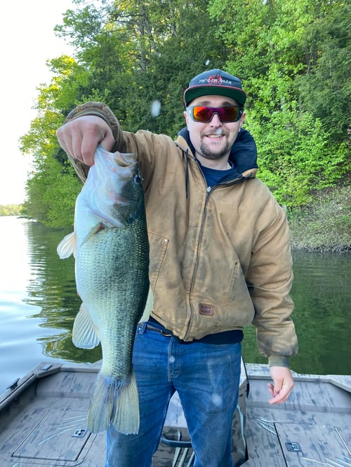 Bass Fishing Trip