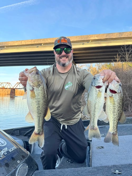 Bass Fishing Trip