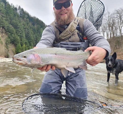 Walk And Wade Fishing