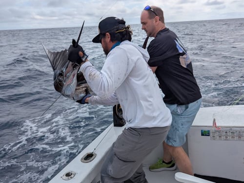 4-10 Hour Offshore Trips