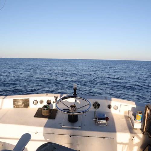 3 Hour Trip – Inshore