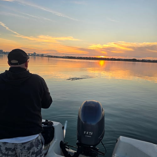 6 Hour Trip - Fish And Fun