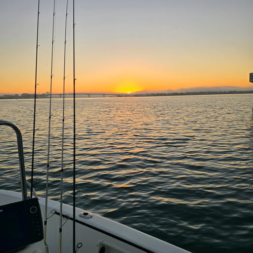 6 Hour Trip - Fish And Fun