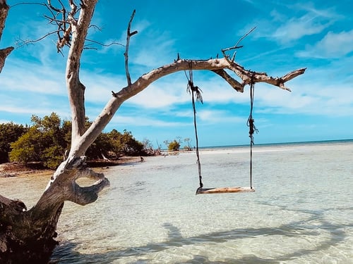 4 Hour – Sandbar Trip