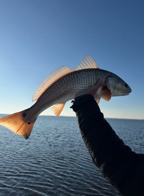 Inshore Fishing Aboard Flats Skiff