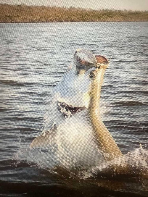 Biscayne National Park Fishing