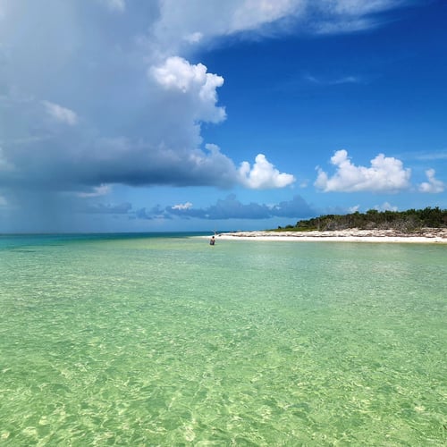 Sandbar & Snorkel Charter