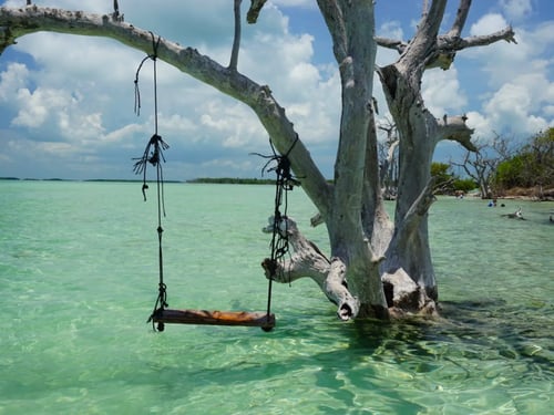 Dry Tortugas National Park Charter