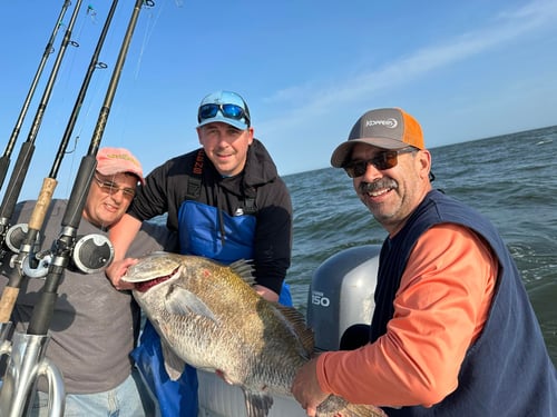 Black Drum Fishing Trip