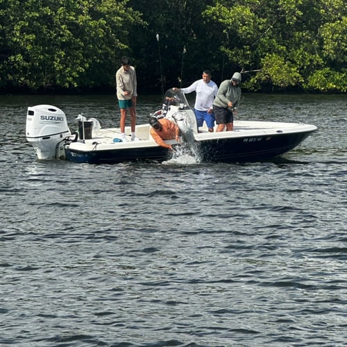 4hrs Inshore Tarpon Fishing