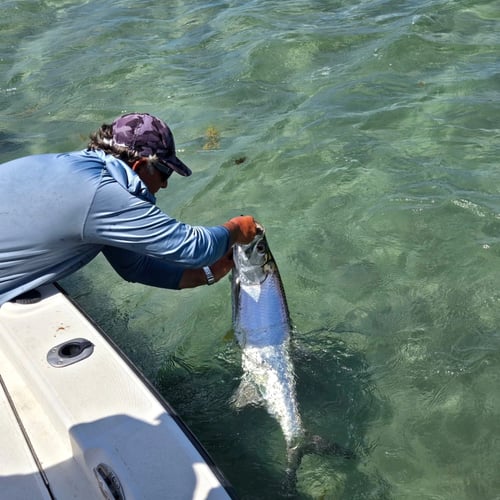 4hrs Inshore Tarpon Fishing