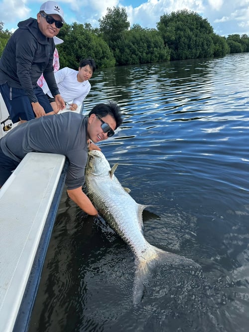 4hrs Inshore Tarpon Fishing