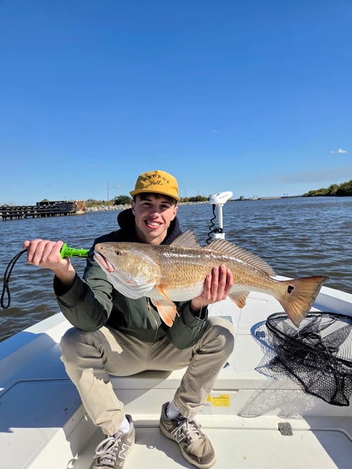 Inshore Fishing!