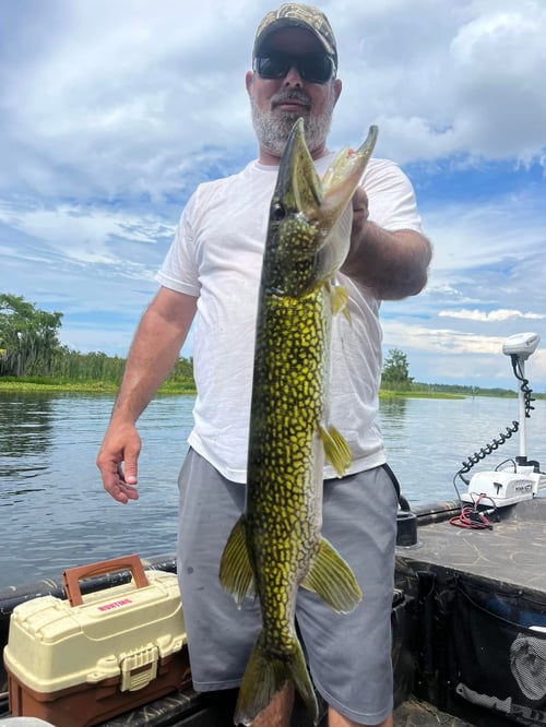 Scenic River And Lake Fishing 