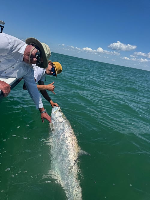 Half Day Charters In Boca Grande 