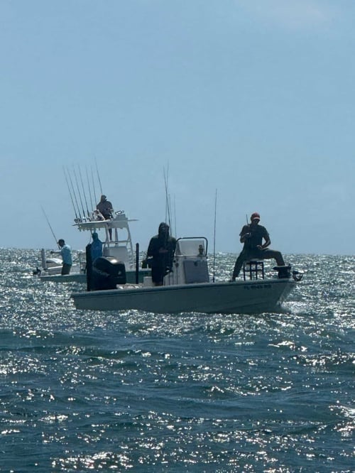 Half Day Charters In Boca Grande 