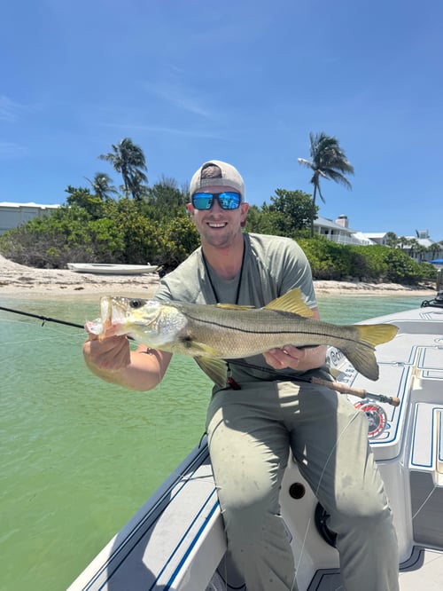 Half Day Charters In Boca Grande 