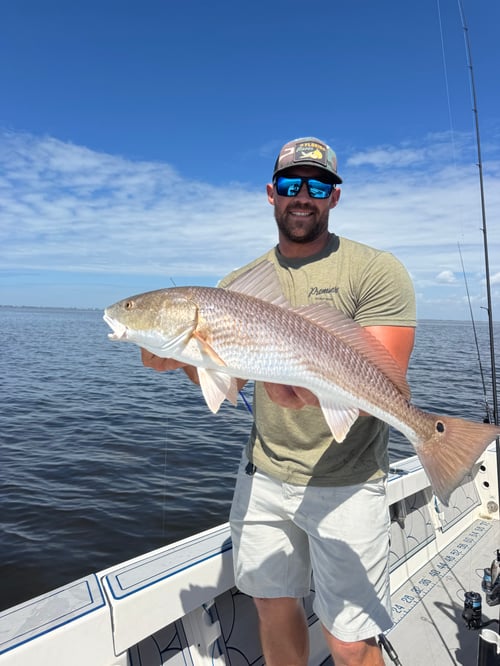 Half Day Charters In Boca Grande 