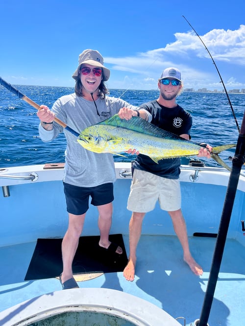 4 Hr Fishing In Gulf Of America