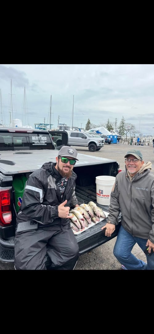 Walleye Fishing 