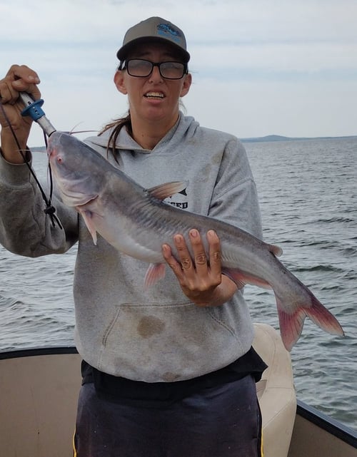 Catfish Trips