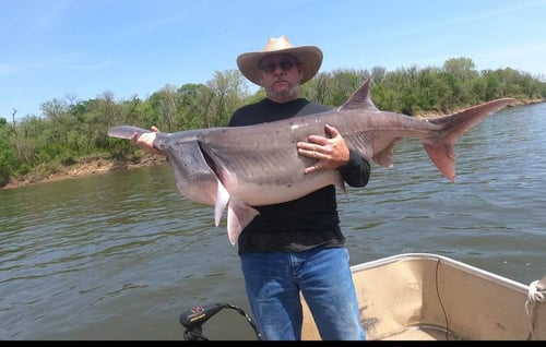 Spoon Bills Fishing Trip