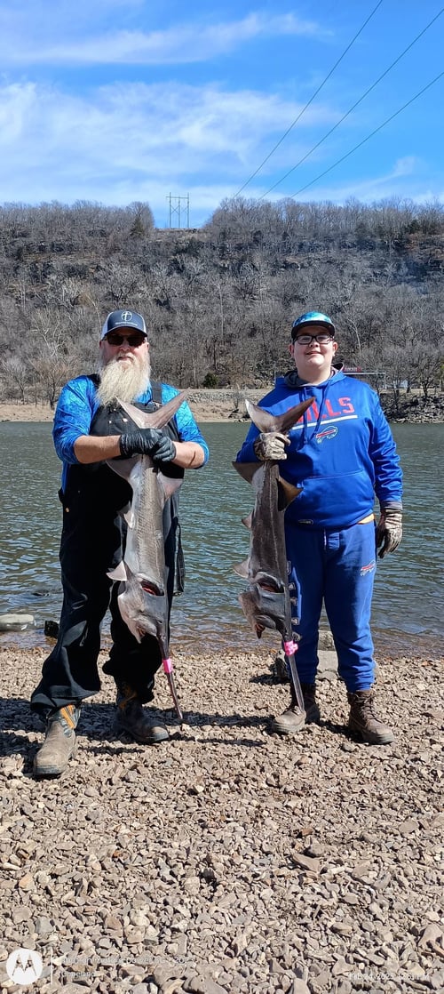 Spoon Bills Fishing Trip