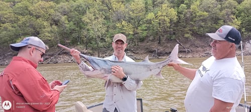Spoon Bills Fishing Trip