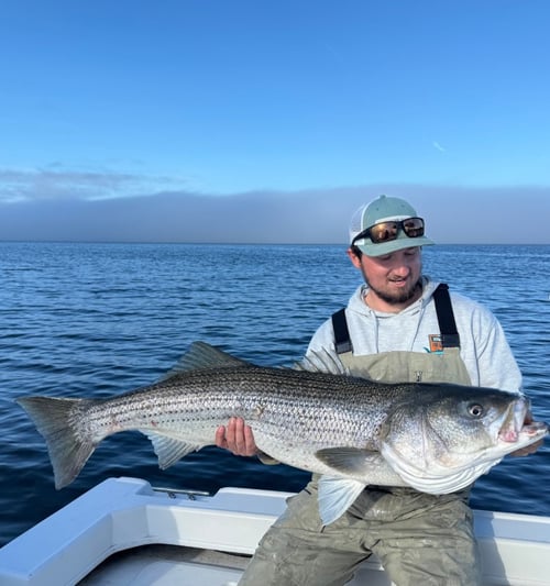 Striped Bass Fishing Trip