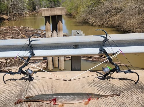 Bowfishing Trip