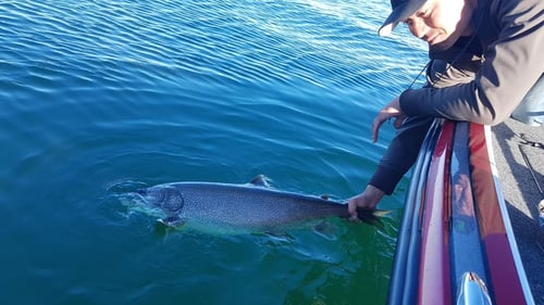  Lake Simcoe Trips
