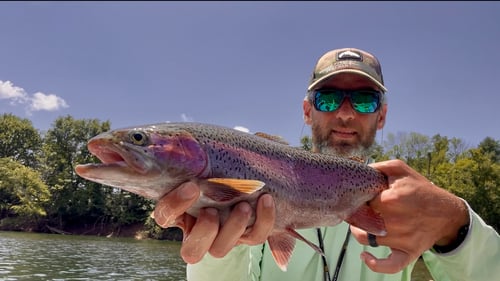 4-8 Hour Fishing - Beaver Tailwater