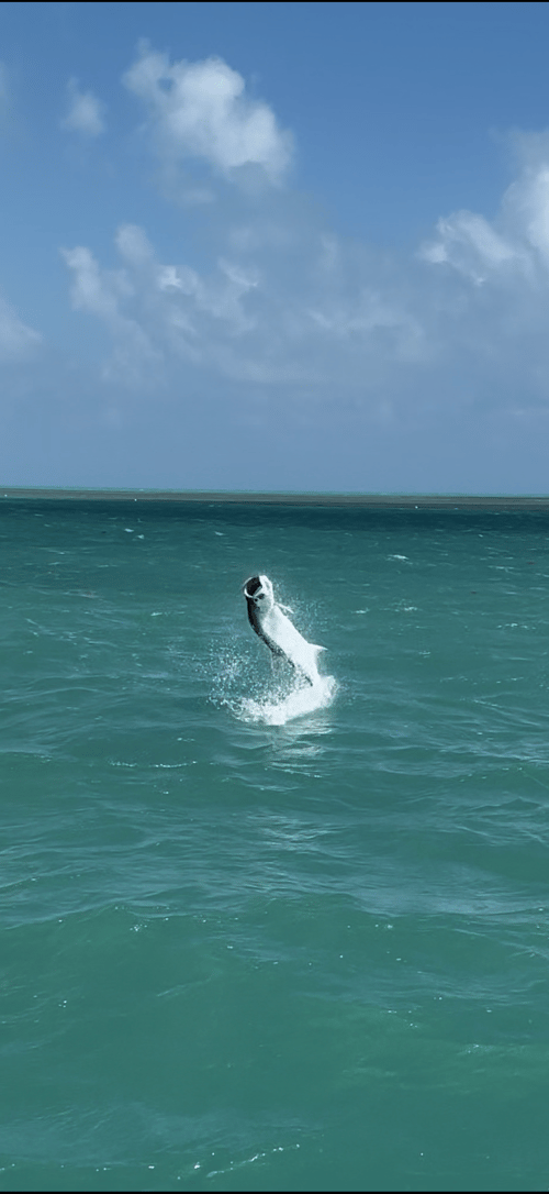 Islamorada Backcountry 