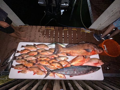 6-Hour Reef And Wreck Fishing