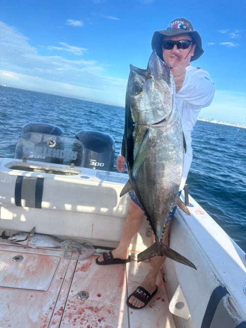 4-Hour Inshore & Nearshore Trips