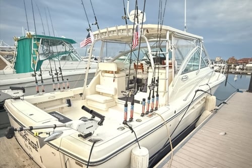 Walleye Fishing Trip