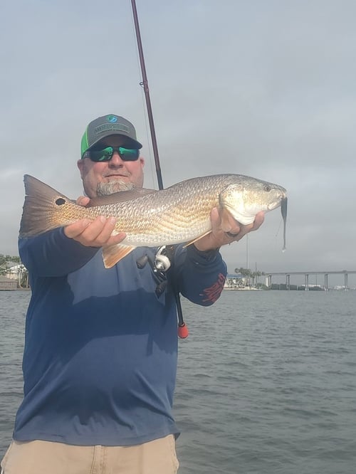 Redfish Fishing in Aransas Pass, Texas