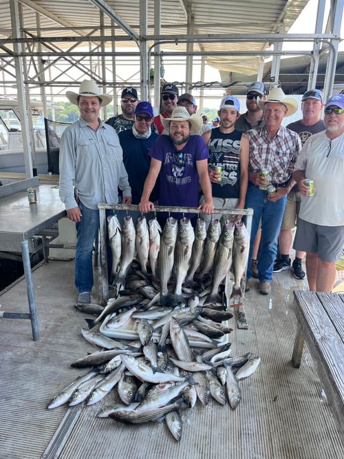 Day Trip – Striper Fish Fun