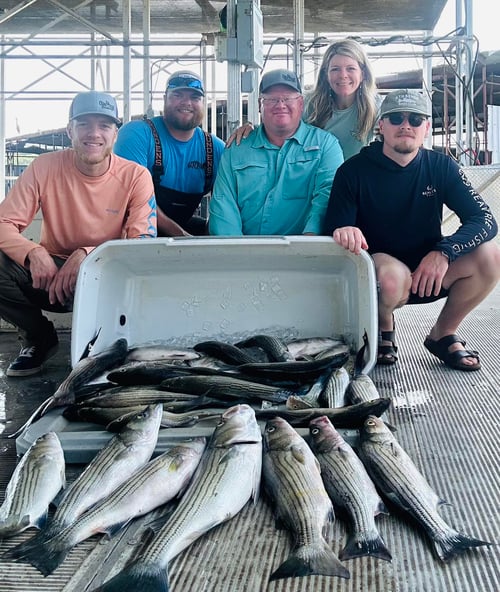 Day Trip – Striper Fish Fun