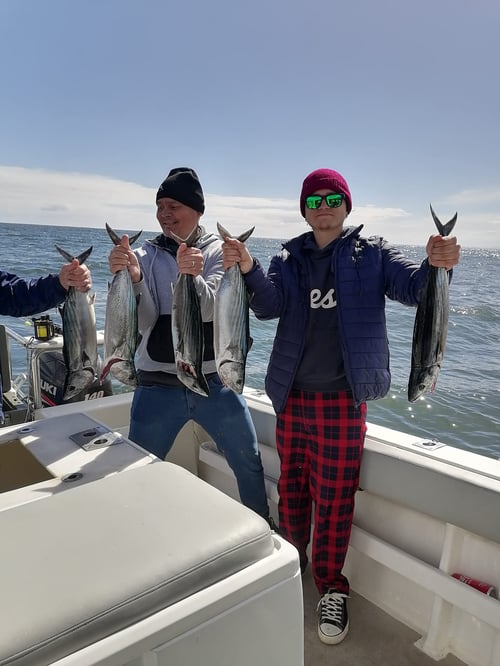 Half-Day Inshore