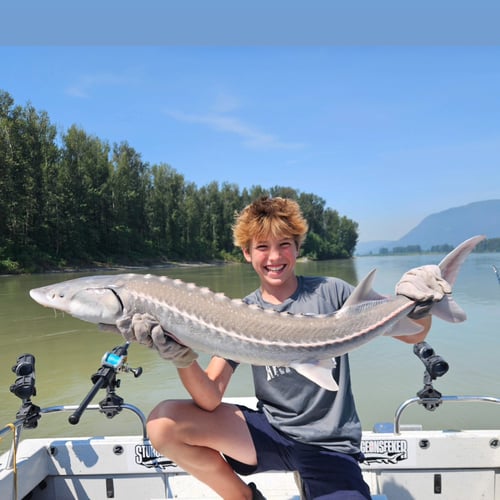 8 Hr Salmon & Sturgeon Trips