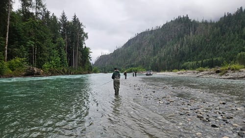 Full Day Trip – Upper Pitt River