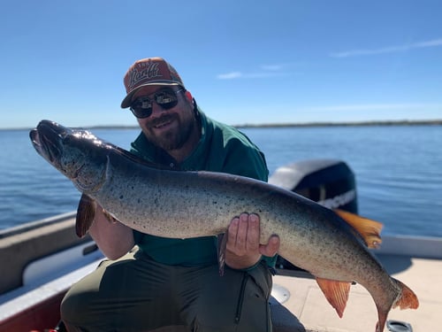 4-6 Hour Musky
