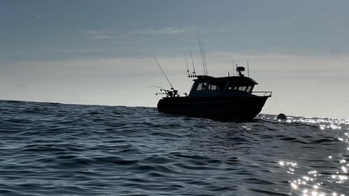 Halibut Charters