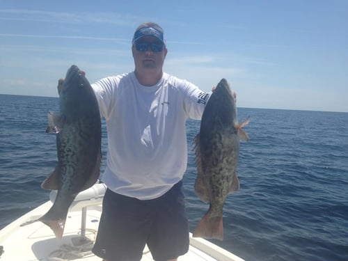 5-6 Hour Trip – Inshore