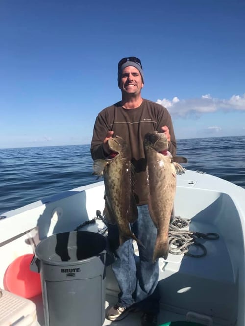 5-6 Hour Trip – Inshore